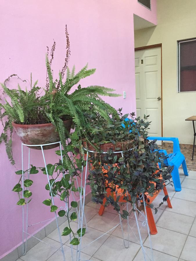 Casa Mokoron Lägenhet Managua Exteriör bild